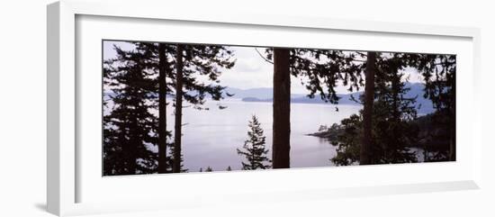 Trees at the Seaside, Teddy Bear Cove, Chuckanut Bay, Skagit County, Washington State, USA-null-Framed Photographic Print