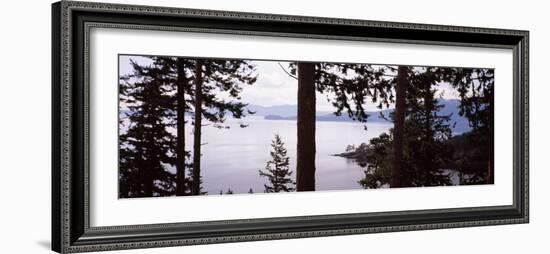 Trees at the Seaside, Teddy Bear Cove, Chuckanut Bay, Skagit County, Washington State, USA-null-Framed Photographic Print