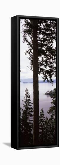 Trees at the Seaside, Teddy Bear Cove, Chuckanut Bay, Skagit County, Washington State, USA-null-Framed Premier Image Canvas