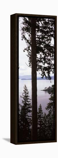 Trees at the Seaside, Teddy Bear Cove, Chuckanut Bay, Skagit County, Washington State, USA-null-Framed Premier Image Canvas