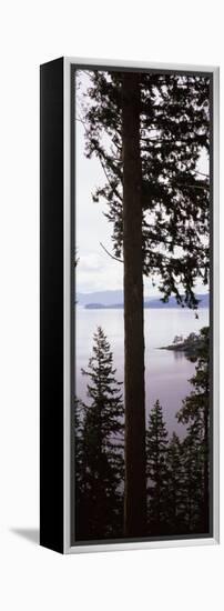 Trees at the Seaside, Teddy Bear Cove, Chuckanut Bay, Skagit County, Washington State, USA-null-Framed Premier Image Canvas