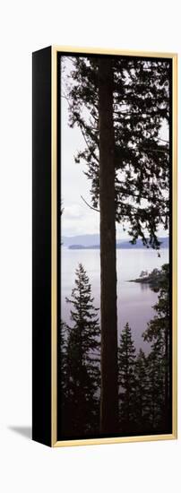 Trees at the Seaside, Teddy Bear Cove, Chuckanut Bay, Skagit County, Washington State, USA-null-Framed Premier Image Canvas