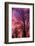 Trees, Baltic Sea, Darss, Winter-Catharina Lux-Framed Photographic Print