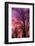 Trees, Baltic Sea, Darss, Winter-Catharina Lux-Framed Photographic Print