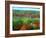 Trees, Baxter State Park, ME-Peter Adams-Framed Photographic Print