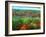 Trees, Baxter State Park, ME-Peter Adams-Framed Photographic Print