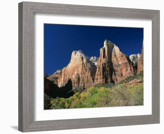 Trees Below Abraham and Isaac Peaks in the Court of the Patriarchs, Zion National Park, Utah, USA-Tomlinson Ruth-Framed Photographic Print