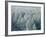 Trees Biei-Cho Hokkaido-null-Framed Photographic Print