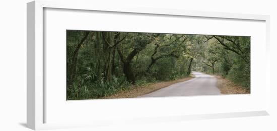 Trees Both Sides of a Road, Fort Clinch State Park, Amelia Island, Florida, USA-null-Framed Photographic Print