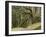 Trees, Central Park, Auckland, New Zealand-Gavriel Jecan-Framed Photographic Print