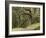 Trees, Central Park, Auckland, New Zealand-Gavriel Jecan-Framed Photographic Print