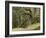 Trees, Central Park, Auckland, New Zealand-Gavriel Jecan-Framed Photographic Print