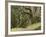 Trees, Central Park, Auckland, New Zealand-Gavriel Jecan-Framed Photographic Print