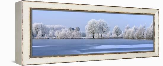 Trees Covered in Hoarfrost Beside Frozen Lake in Winter, Belgium-Philippe Clement-Framed Premier Image Canvas