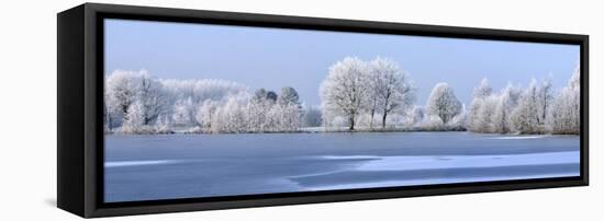 Trees Covered in Hoarfrost Beside Frozen Lake in Winter, Belgium-Philippe Clement-Framed Premier Image Canvas