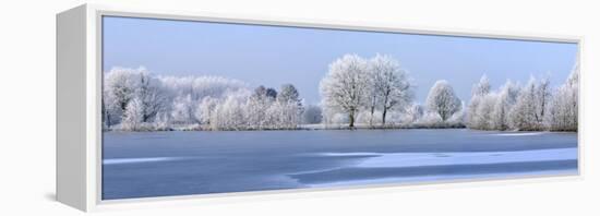 Trees Covered in Hoarfrost Beside Frozen Lake in Winter, Belgium-Philippe Clement-Framed Premier Image Canvas