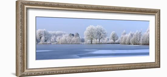 Trees Covered in Hoarfrost Beside Frozen Lake in Winter, Belgium-Philippe Clement-Framed Photographic Print