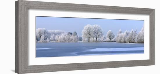 Trees Covered in Hoarfrost Beside Frozen Lake in Winter, Belgium-Philippe Clement-Framed Photographic Print