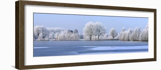 Trees Covered in Hoarfrost Beside Frozen Lake in Winter, Belgium-Philippe Clement-Framed Photographic Print