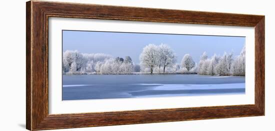 Trees Covered in Hoarfrost Beside Frozen Lake in Winter, Belgium-Philippe Clement-Framed Photographic Print