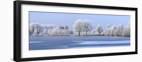 Trees Covered in Hoarfrost Beside Frozen Lake in Winter, Belgium-Philippe Clement-Framed Photographic Print