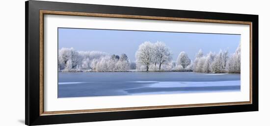 Trees Covered in Hoarfrost Beside Frozen Lake in Winter, Belgium-Philippe Clement-Framed Photographic Print