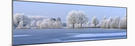 Trees Covered in Hoarfrost Beside Frozen Lake in Winter, Belgium-Philippe Clement-Mounted Photographic Print