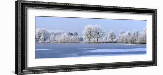 Trees Covered in Hoarfrost Beside Frozen Lake in Winter, Belgium-Philippe Clement-Framed Photographic Print