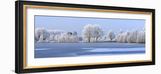 Trees Covered in Hoarfrost Beside Frozen Lake in Winter, Belgium-Philippe Clement-Framed Photographic Print