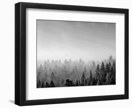 Trees covered with fog in Autumn, Baden Wurttemberg, Germany-Panoramic Images-Framed Photographic Print