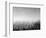 Trees covered with fog in Autumn, Baden Wurttemberg, Germany-Panoramic Images-Framed Photographic Print