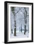 Trees Covered with Ice Crystals, Breda, North Brabant, the Netherlands (Holland), Europe-Mark Doherty-Framed Photographic Print