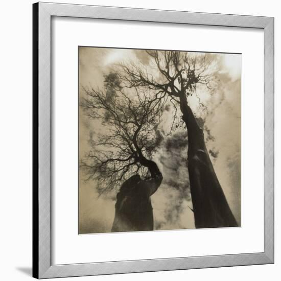 Trees, Discovery Park-Kevin Cruff-Framed Photographic Print