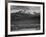 Trees Fgnd, Snow Covered Mts Bkgd "Long's Peak From North Rocky Mountain NP" Colorado 1933-1942-Ansel Adams-Framed Art Print