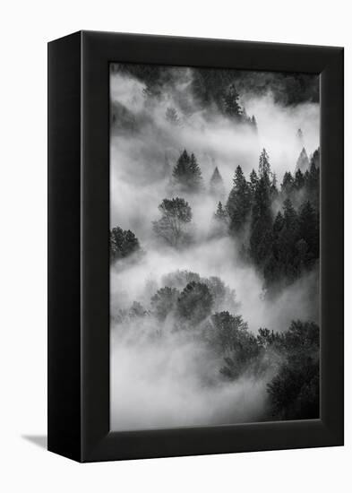 Trees Fog & Mist at Sandy River Black White Landscape Oregon-Vincent James-Framed Premier Image Canvas