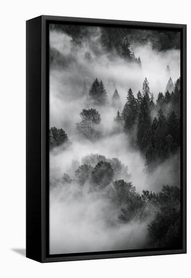 Trees Fog & Mist at Sandy River Black White Landscape Oregon-Vincent James-Framed Premier Image Canvas