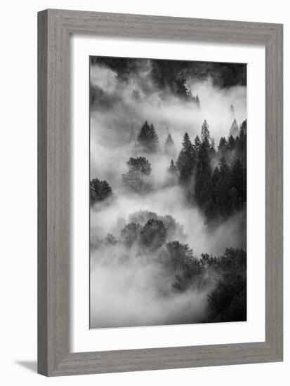 Trees Fog & Mist at Sandy River Black White Landscape Oregon-Vincent James-Framed Photographic Print