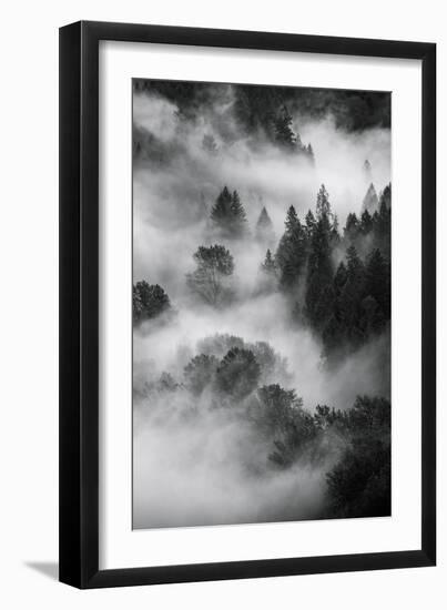 Trees Fog & Mist at Sandy River Black White Landscape Oregon-Vincent James-Framed Photographic Print