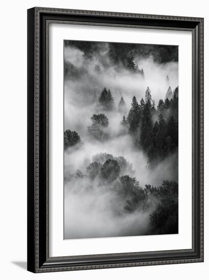 Trees Fog & Mist at Sandy River Black White Landscape Oregon-Vincent James-Framed Photographic Print