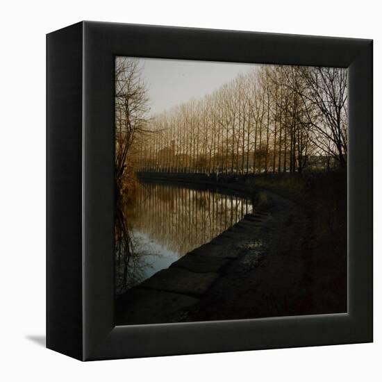 Trees Growing Along Canal in Bradford-Fay Godwin-Framed Premier Image Canvas