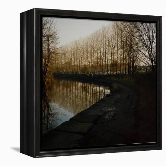 Trees Growing Along Canal in Bradford-Fay Godwin-Framed Premier Image Canvas