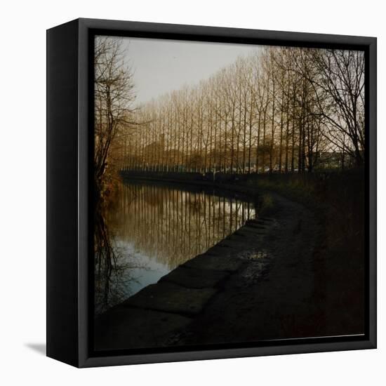 Trees Growing Along Canal in Bradford-Fay Godwin-Framed Premier Image Canvas