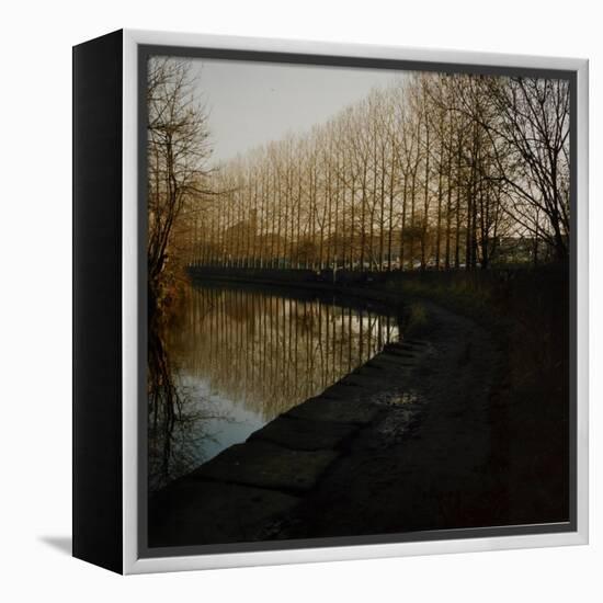 Trees Growing Along Canal in Bradford-Fay Godwin-Framed Premier Image Canvas