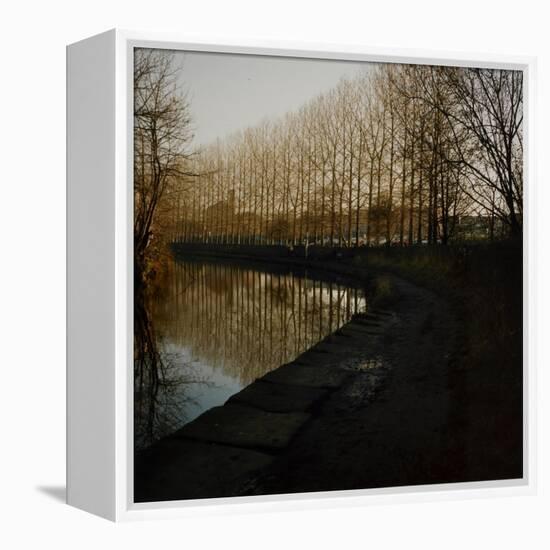 Trees Growing Along Canal in Bradford-Fay Godwin-Framed Premier Image Canvas