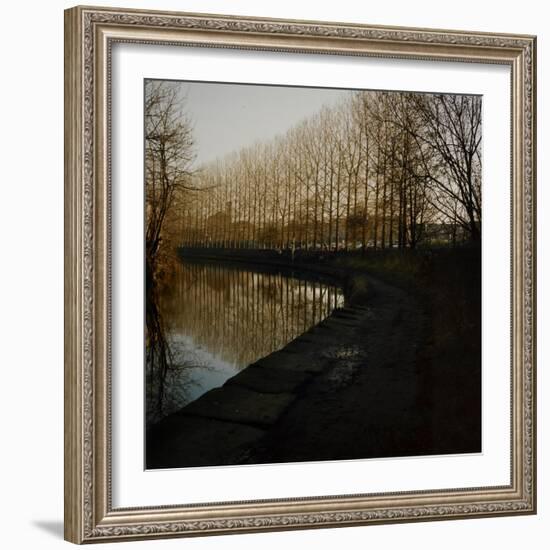 Trees Growing Along Canal in Bradford-Fay Godwin-Framed Giclee Print