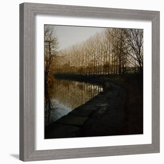 Trees Growing Along Canal in Bradford-Fay Godwin-Framed Giclee Print