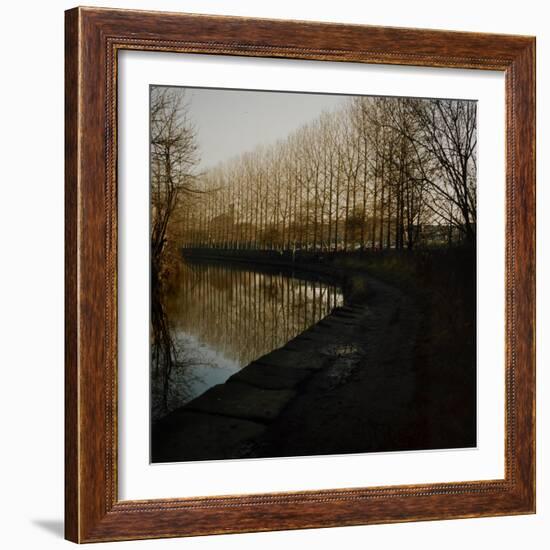 Trees Growing Along Canal in Bradford-Fay Godwin-Framed Giclee Print