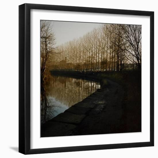 Trees Growing Along Canal in Bradford-Fay Godwin-Framed Giclee Print