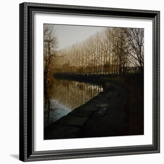 Trees Growing Along Canal in Bradford-Fay Godwin-Framed Giclee Print