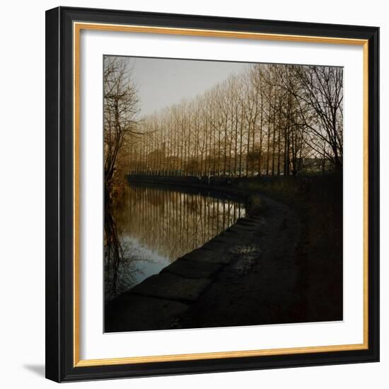 Trees Growing Along Canal in Bradford-Fay Godwin-Framed Giclee Print